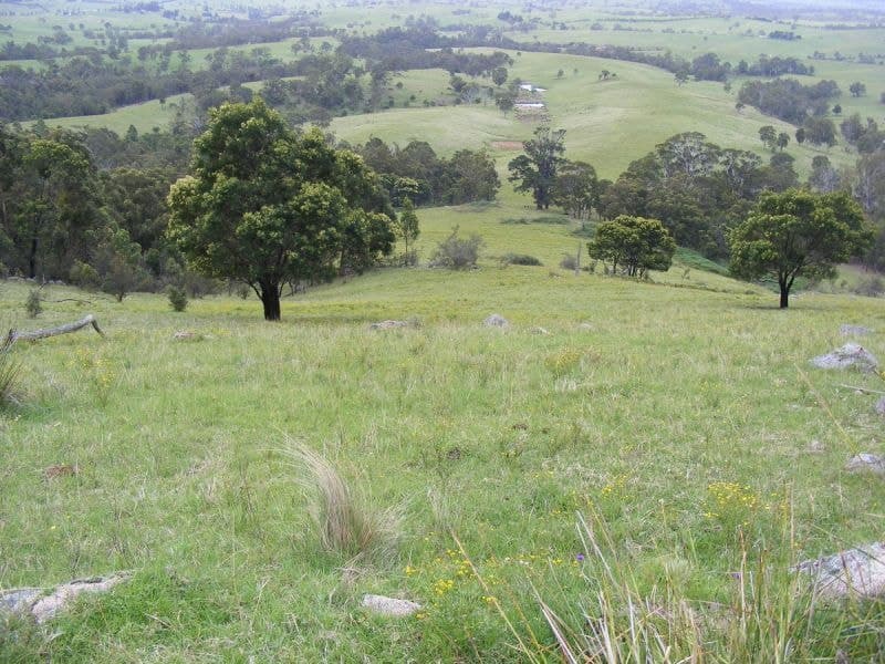 Rolfe Graham Road BEMBOKA NSW, Bemboka - Image 1