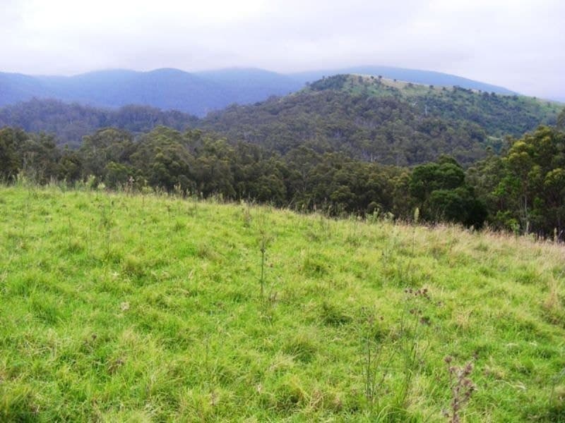 Rolfe Graham Road BEMBOKA NSW, Bemboka - Thumbnail 5