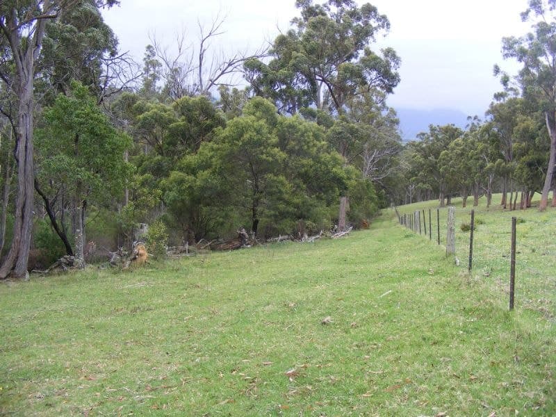 Rolfe Graham Road BEMBOKA NSW, Bemboka - Thumbnail 7