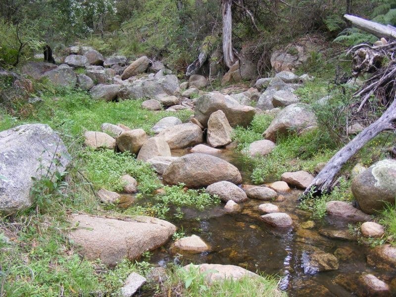 Rolfe Graham Road BEMBOKA NSW, Bemboka - Thumbnail 8