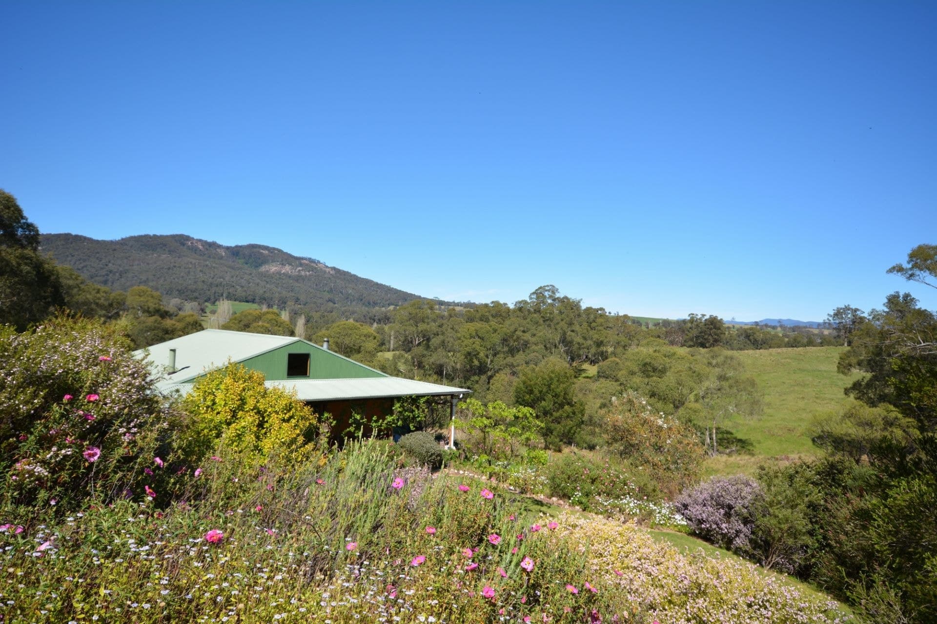 286 Field Buckets Road Quaama NSW, Quaama - Thumbnail 2