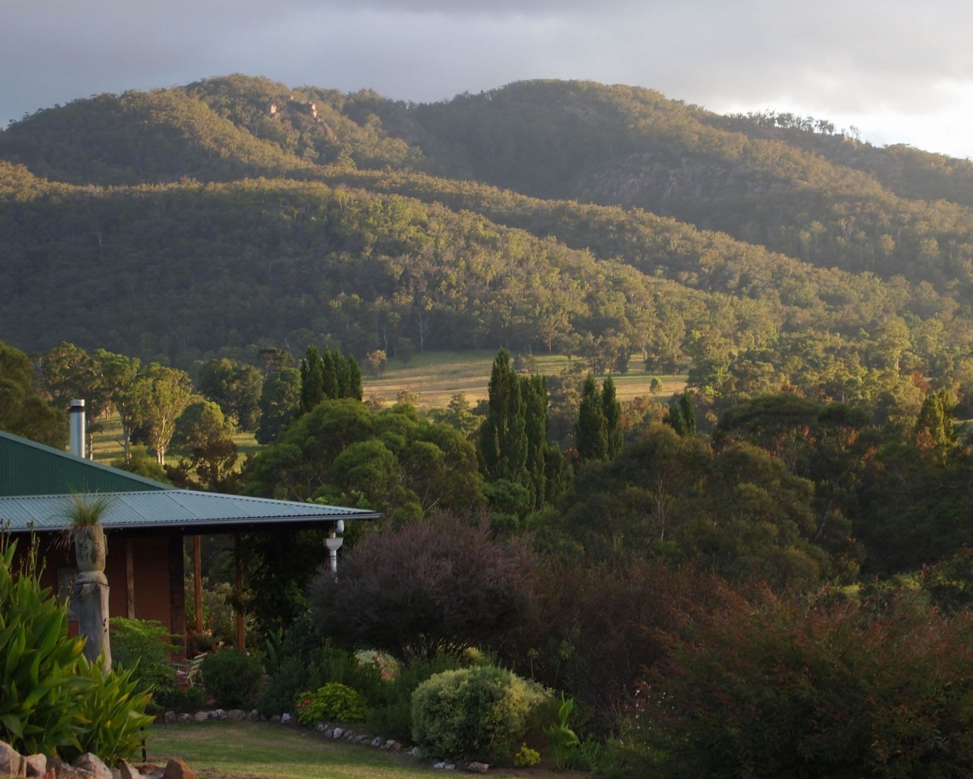 286 Field Buckets Road Quaama NSW, Quaama - Thumbnail 5