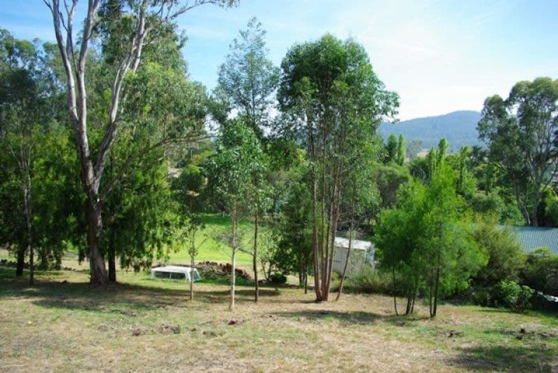 23 Bega Street COBARGO NSW, Cobargo - Thumbnail 6