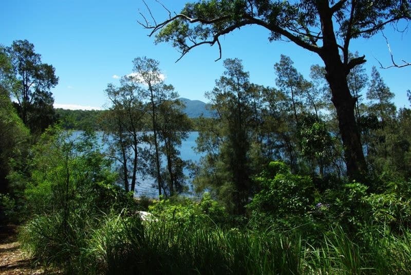 6 Fairhaven Point Way Wallaga Lake NSW, Wallaga Lake - Thumbnail 6