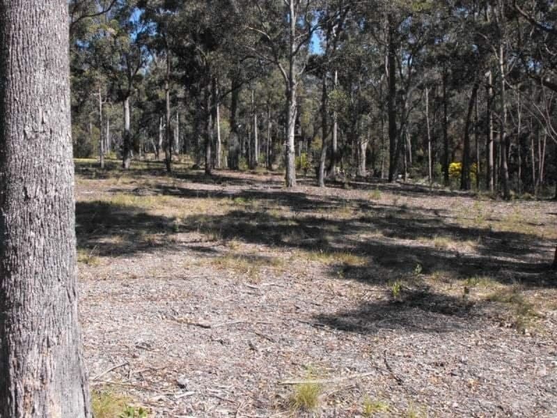 Lot 33 Ochre Lane Millingandi NSW, Millingandi - Thumbnail 3