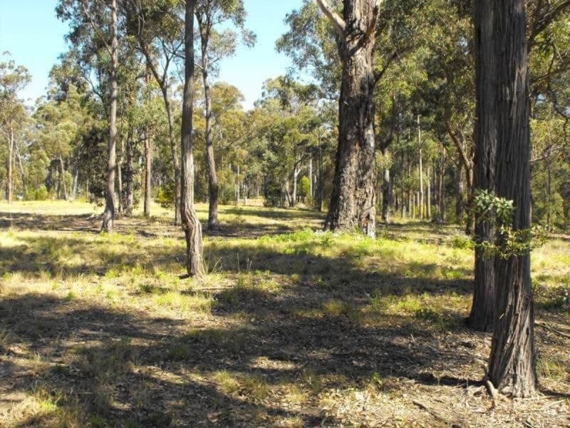 Lot 33 Ochre Lane Millingandi NSW, Millingandi - Thumbnail 4