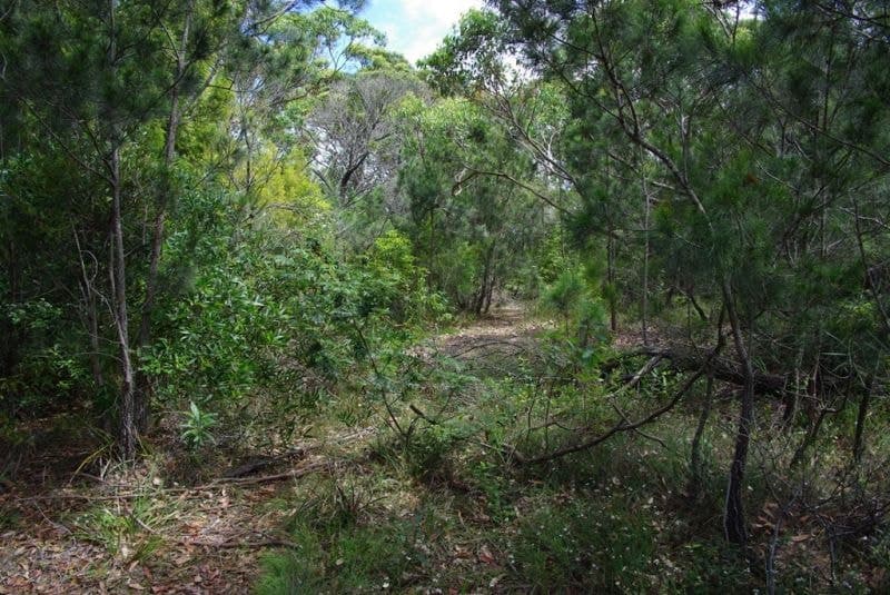 176 Wallaga Lake Road Wallaga Lake NSW, Wallaga Lake - Image 1