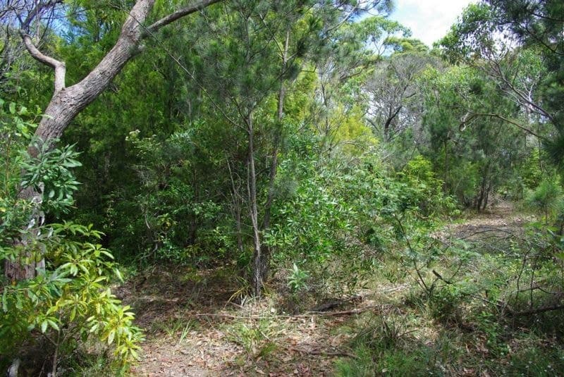 176 Wallaga Lake Road Wallaga Lake NSW, Wallaga Lake - Thumbnail 2