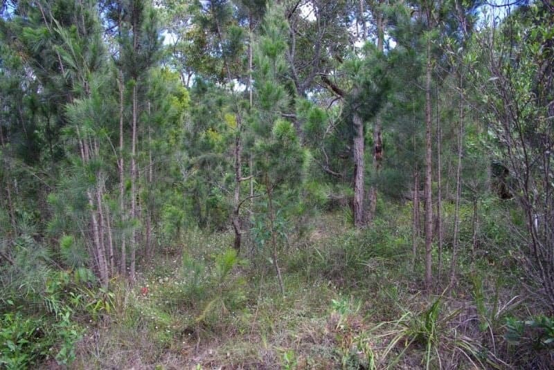 176 Wallaga Lake Road Wallaga Lake NSW, Wallaga Lake - Thumbnail 3