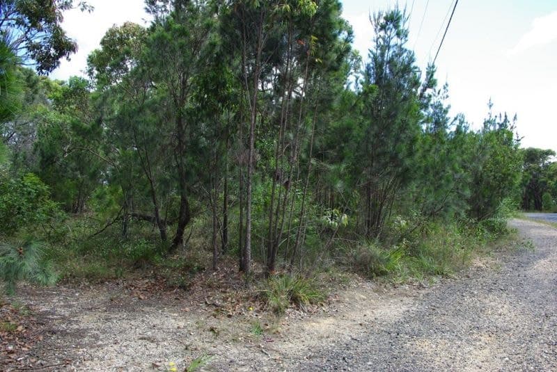 176 Wallaga Lake Road Wallaga Lake NSW, Wallaga Lake - Thumbnail 4