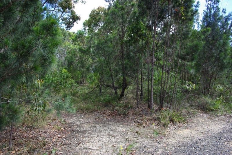 176 Wallaga Lake Road Wallaga Lake NSW, Wallaga Lake - Thumbnail 5