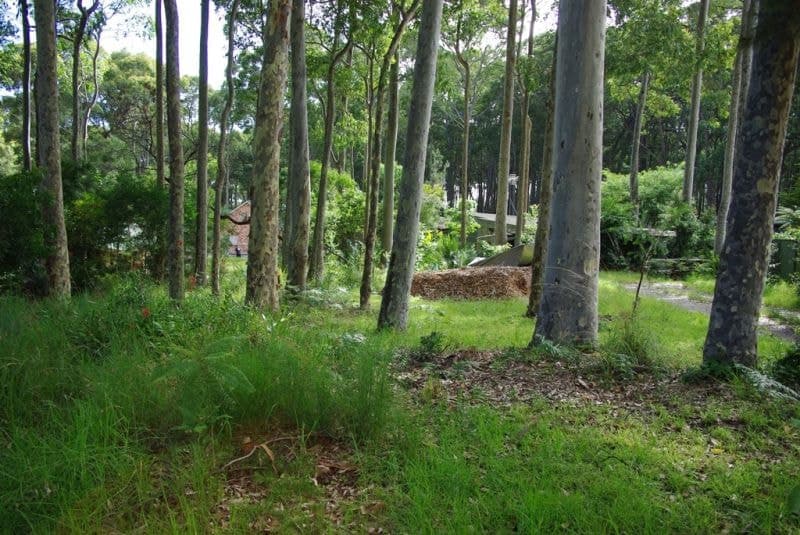 34 Lamont Young Drive Mystery Bay NSW, Mystery Bay - Thumbnail 4