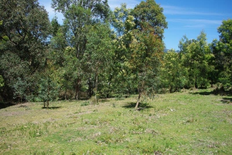 1 County Boundary Road Cobargo NSW, Cobargo - Thumbnail 5
