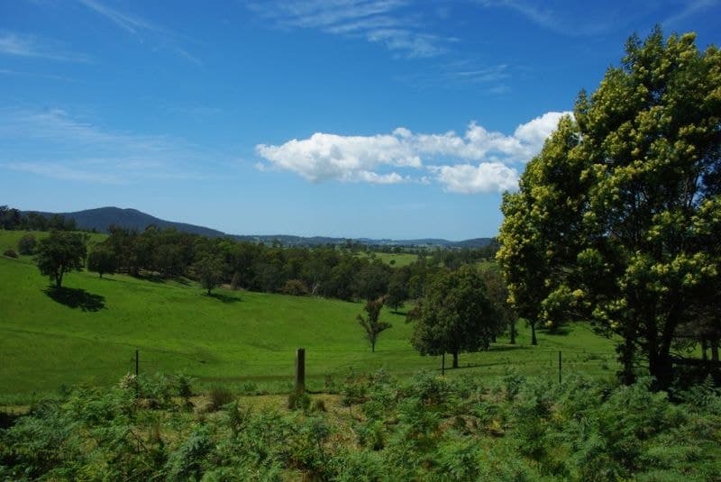 1 County Boundary Road Cobargo NSW, Cobargo - Thumbnail 7