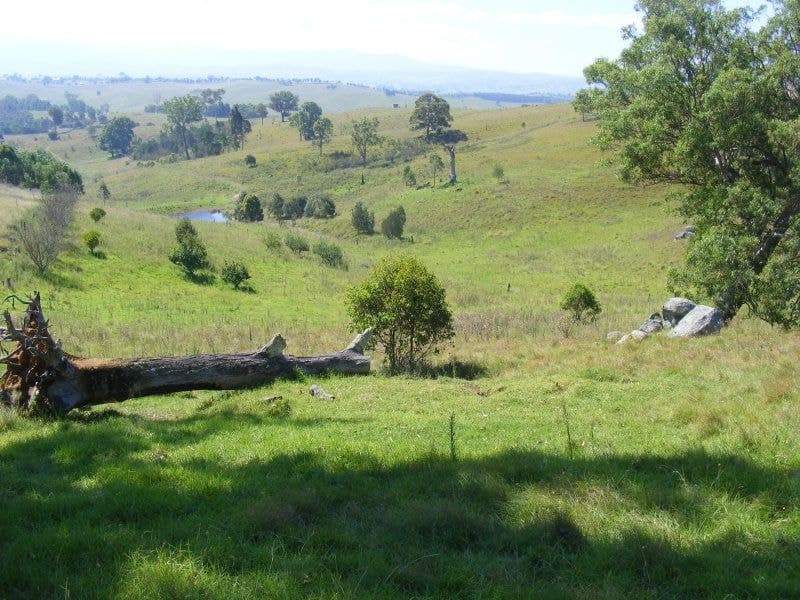 103 Kemps Lane Candelo NSW, Candelo - Image 1