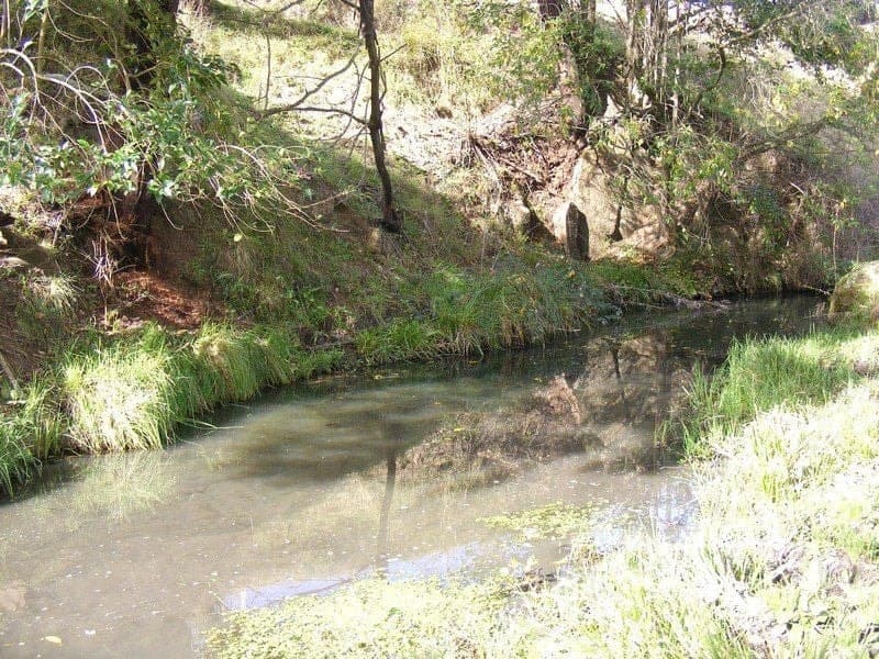 215 Daisy Hill Road Bega NSW, Bega - Thumbnail 3