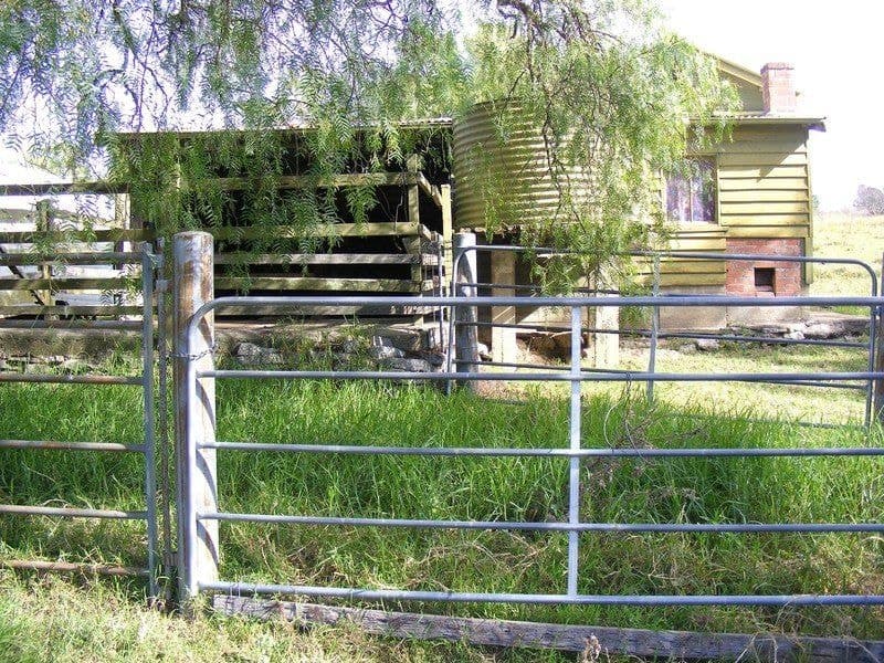 215 Daisy Hill Road Bega NSW, Bega - Thumbnail 4