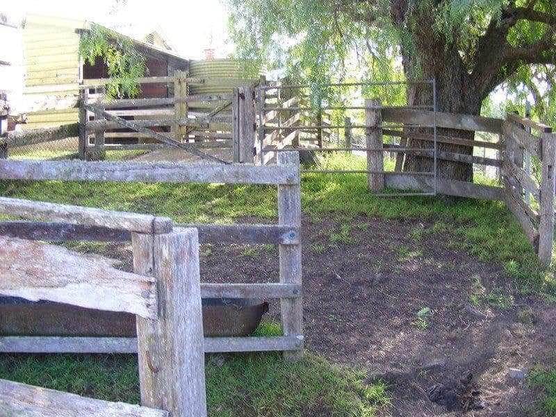 215 Daisy Hill Road Bega NSW, Bega - Thumbnail 5