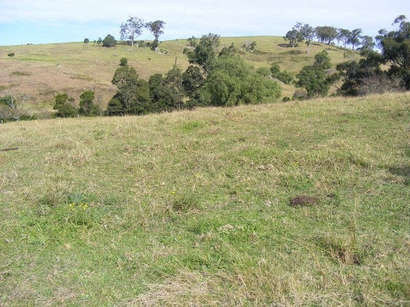 215 Daisy Hill Road Bega NSW, Bega - Thumbnail 7