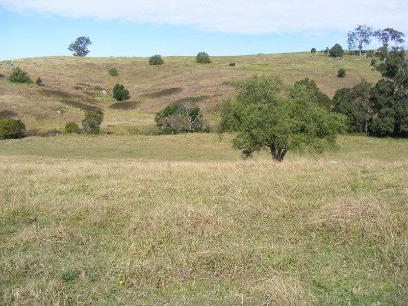 215 Daisy Hill Road Bega NSW, Bega - Thumbnail 8