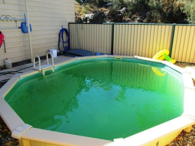 124 Bidgee Road Binjura NSW, Binjura - Thumbnail 6