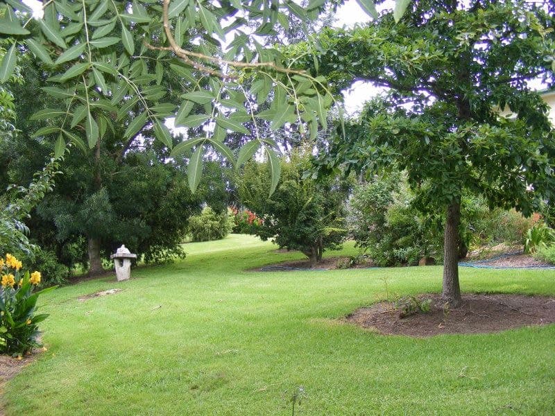 76-84 Parrabel Street Bega NSW, Bega - Thumbnail 5