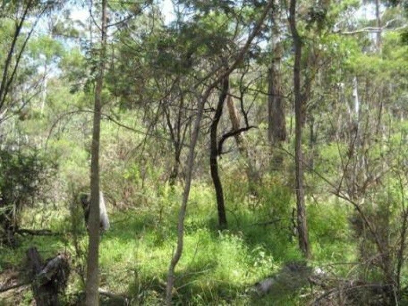 Lot 1241 Big Jack Mountain Road Rocky Hall NSW, Rocky Hall - Image 1