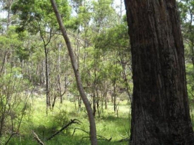 Lot 1241 Big Jack Mountain Road Rocky Hall NSW, Rocky Hall - Thumbnail 2