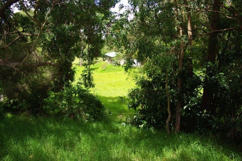 19 Bega Street Cobargo NSW, Cobargo - Thumbnail 2