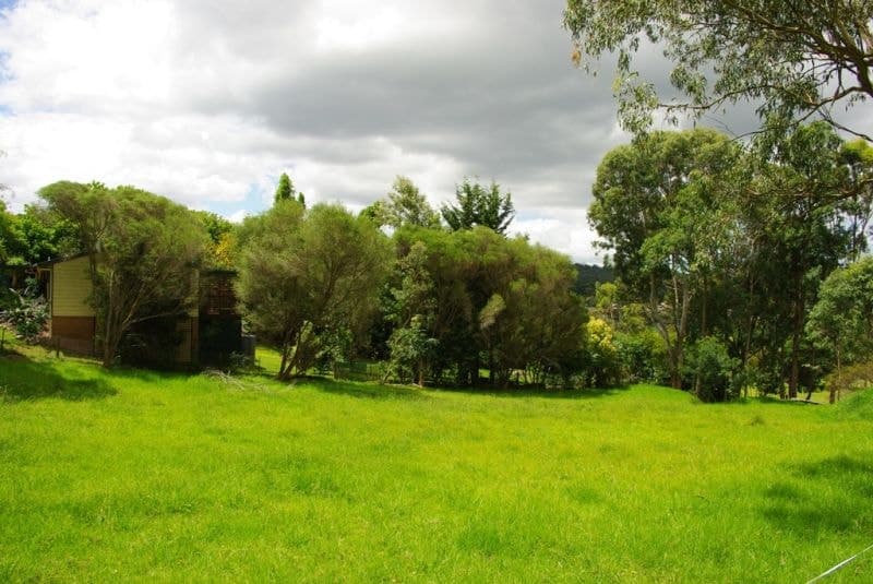 19 Bega Street Cobargo NSW, Cobargo - Thumbnail 5