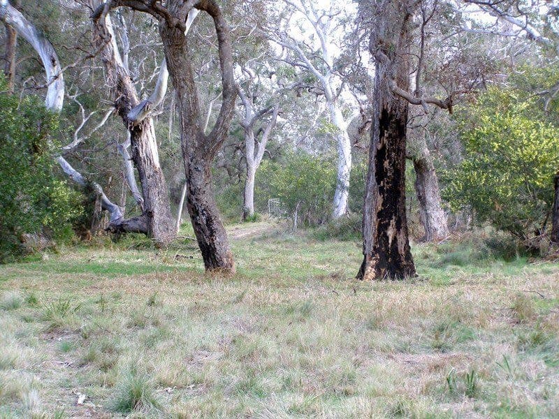 140 West Kameruka Road Candelo NSW, Candelo - Thumbnail 2