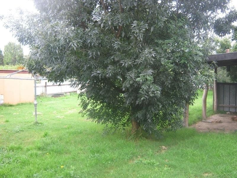 5 Campbell Street COOMA NSW, Cooma - Image 1