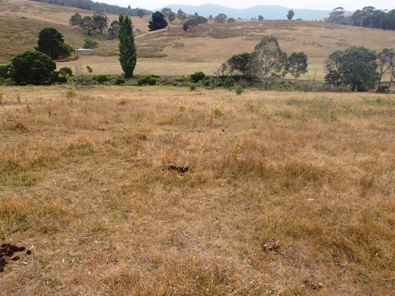 ts 41 & 42 Lots 41 & 42 Mt Darragh Road WYNDHAM NSW, Wyndham - Image 1