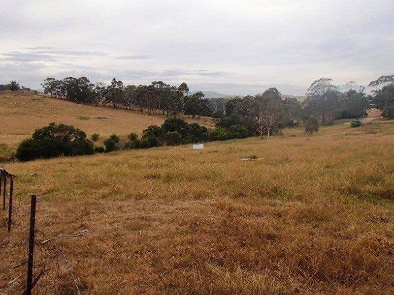 ts 41 & 42 Lots 41 & 42 Mt Darragh Road WYNDHAM NSW, Wyndham - Thumbnail 2