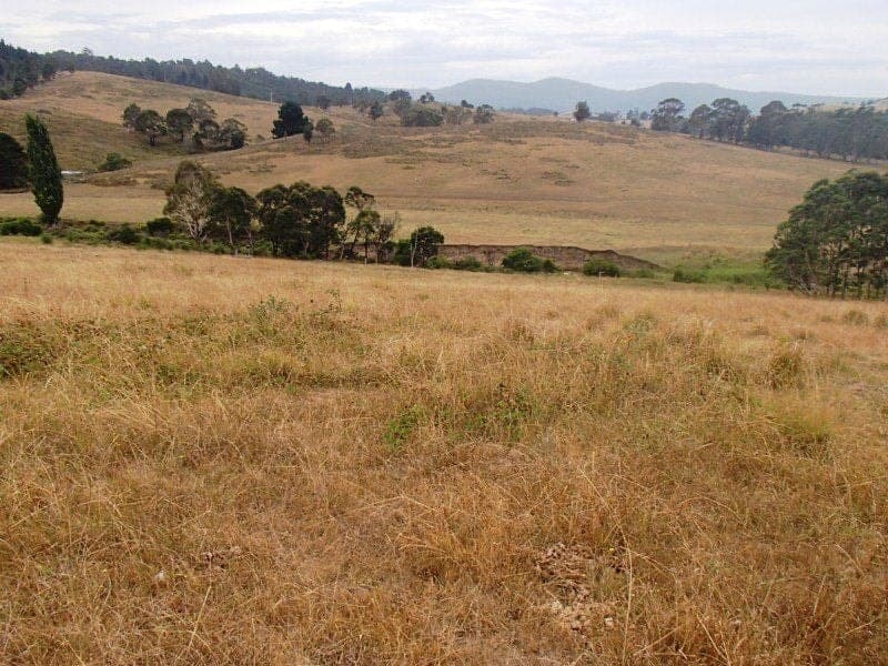 ts 41 & 42 Lots 41 & 42 Mt Darragh Road WYNDHAM NSW, Wyndham - Thumbnail 3