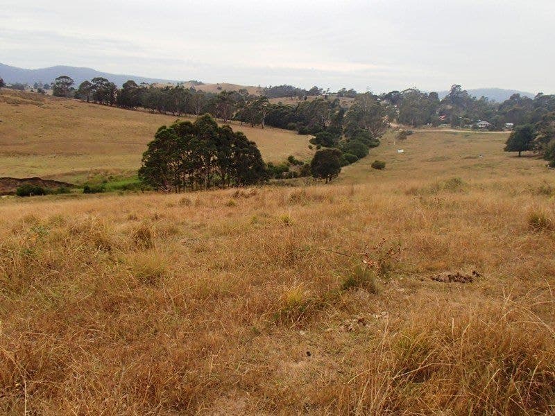 ts 41 & 42 Lots 41 & 42 Mt Darragh Road WYNDHAM NSW, Wyndham - Thumbnail 4