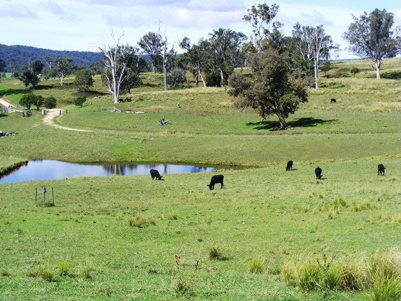 Lot 6 Moorlands Lane Frogs Hollow NSW, Frogs Hollow - Thumbnail 5