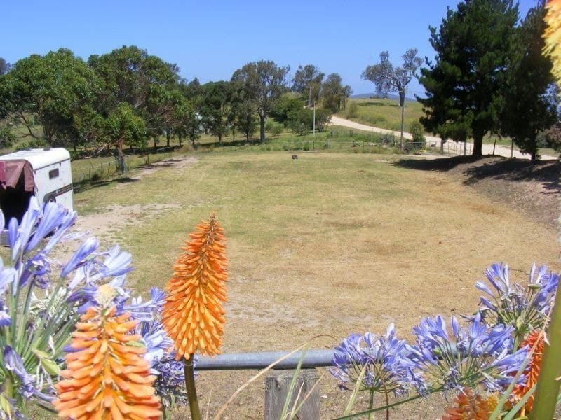 204 Hergenhans Lane, Bega, Bega - Thumbnail 4