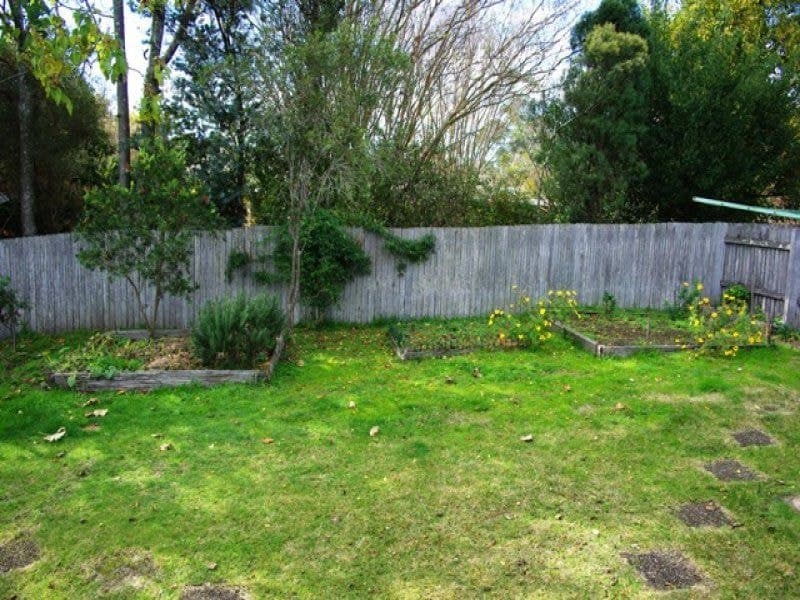 32 Cobargo Bermagui Road, COBARGO, Cobargo - Thumbnail 2