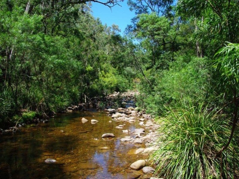 686 Goughs Road, COBARGO, Cobargo - Image 1