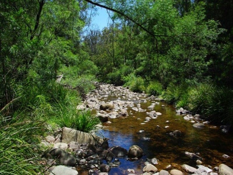 686 Goughs Road, COBARGO, Cobargo - Thumbnail 3