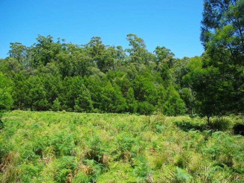 686 Goughs Road, COBARGO, Cobargo - Thumbnail 4