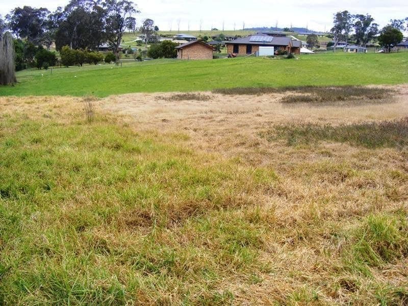 3 Glen Mia Drive, Bega, Bega - Thumbnail 6