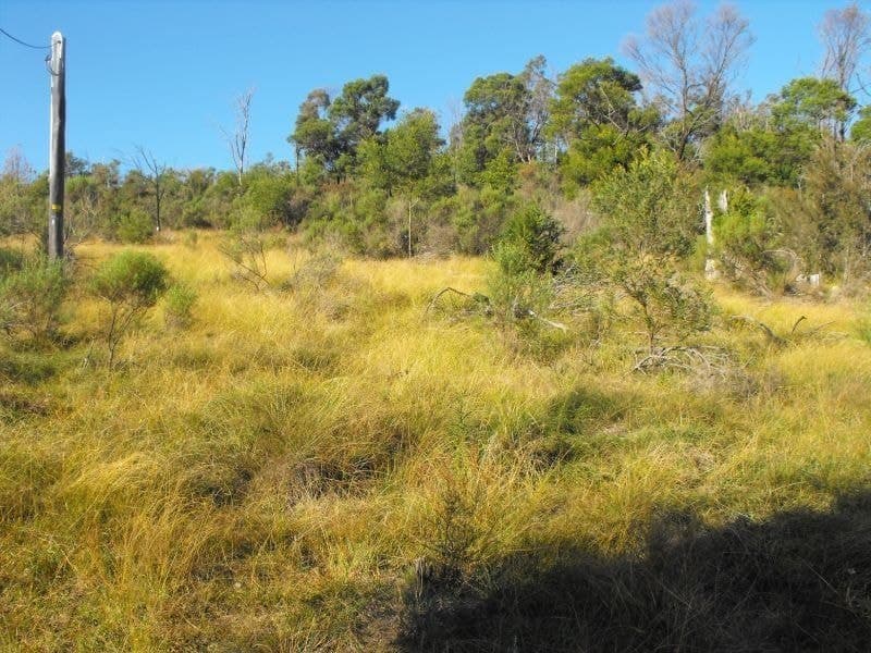 708 New Buildings Road Wyndham NSW, Wyndham - Image 1