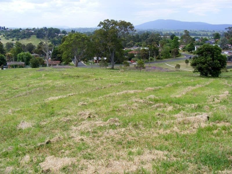 6 Bridle Place, Bega, Bega - Thumbnail 4