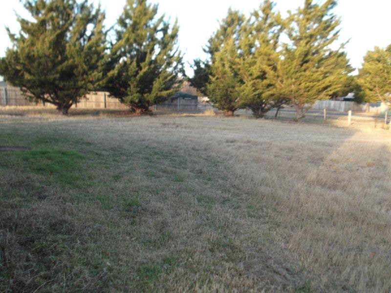 11 Bunyan Road, BREDBO, Bredbo - Thumbnail 2