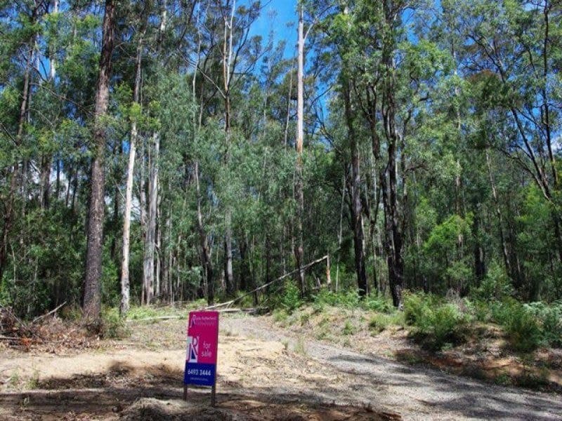 2/ Yowrie Road, COBARGO, Cobargo - Image 1