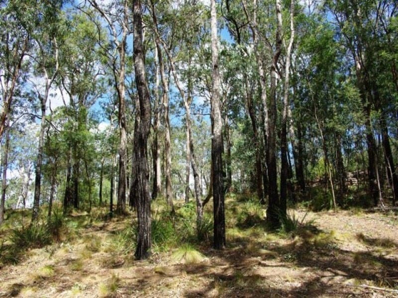 2/ Yowrie Road, COBARGO, Cobargo - Thumbnail 3