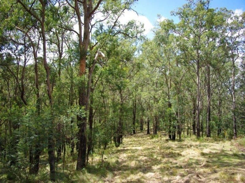 2/ Yowrie Road, COBARGO, Cobargo - Thumbnail 4