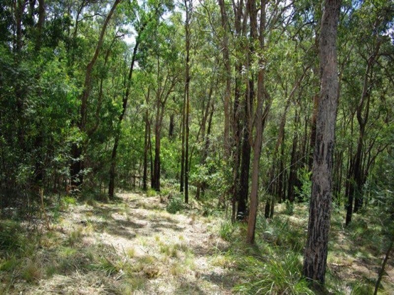 2/ Yowrie Road, COBARGO, Cobargo - Thumbnail 5